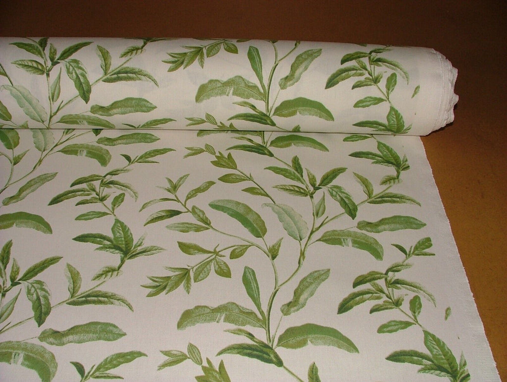 3.8 Metres iLiv Oasis Spruce Green 100% Cotton Fabric Curtain Cushion Upholstery