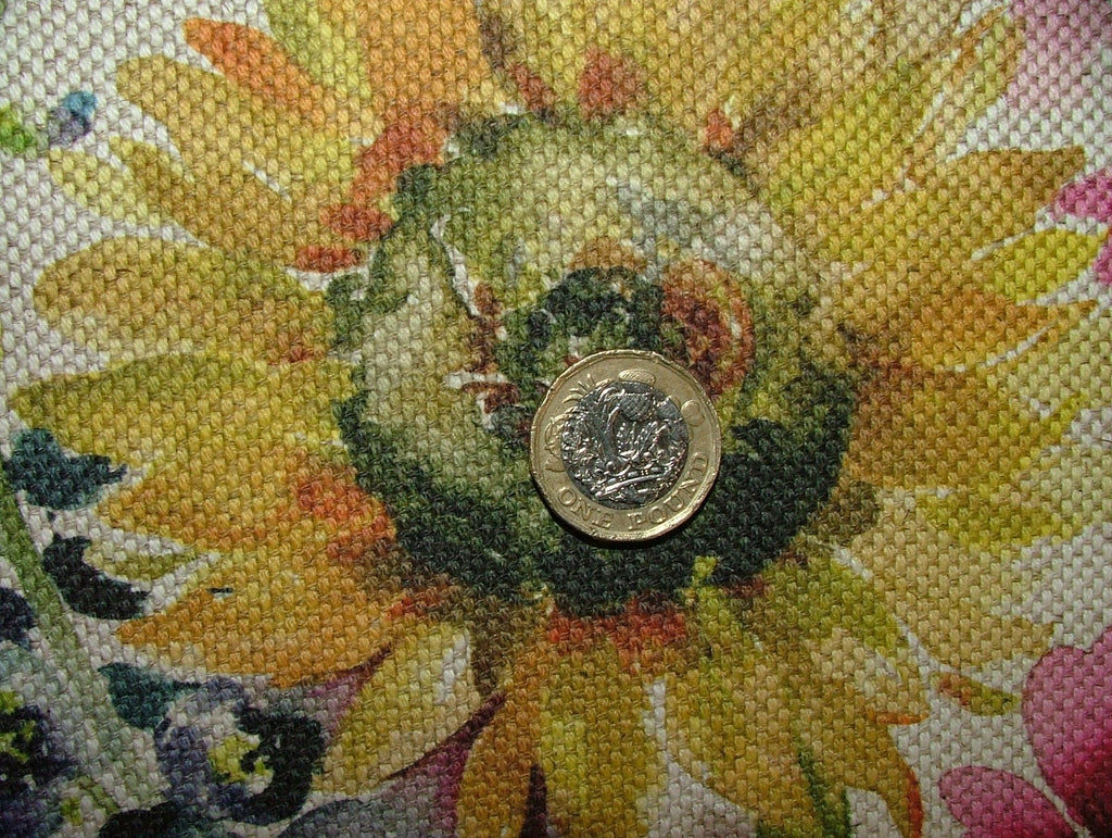 45955935