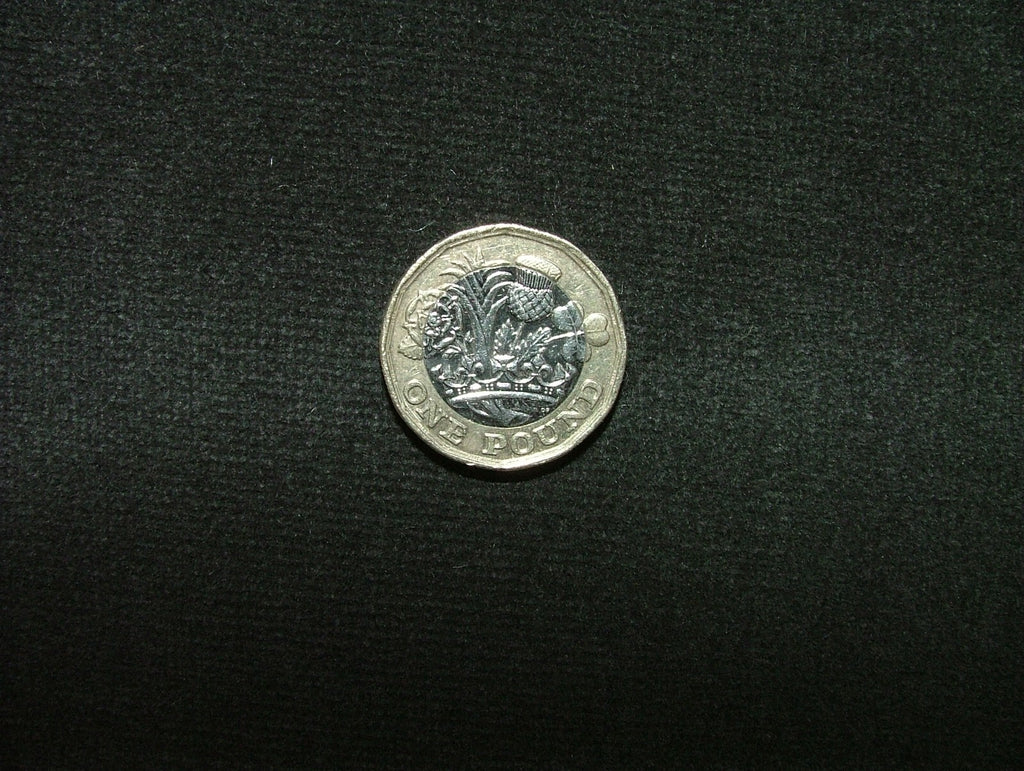 Romo Velvet Curtain Fabric 11.4 Metres Carbon Grey Upholstery Cushion RRP £15905