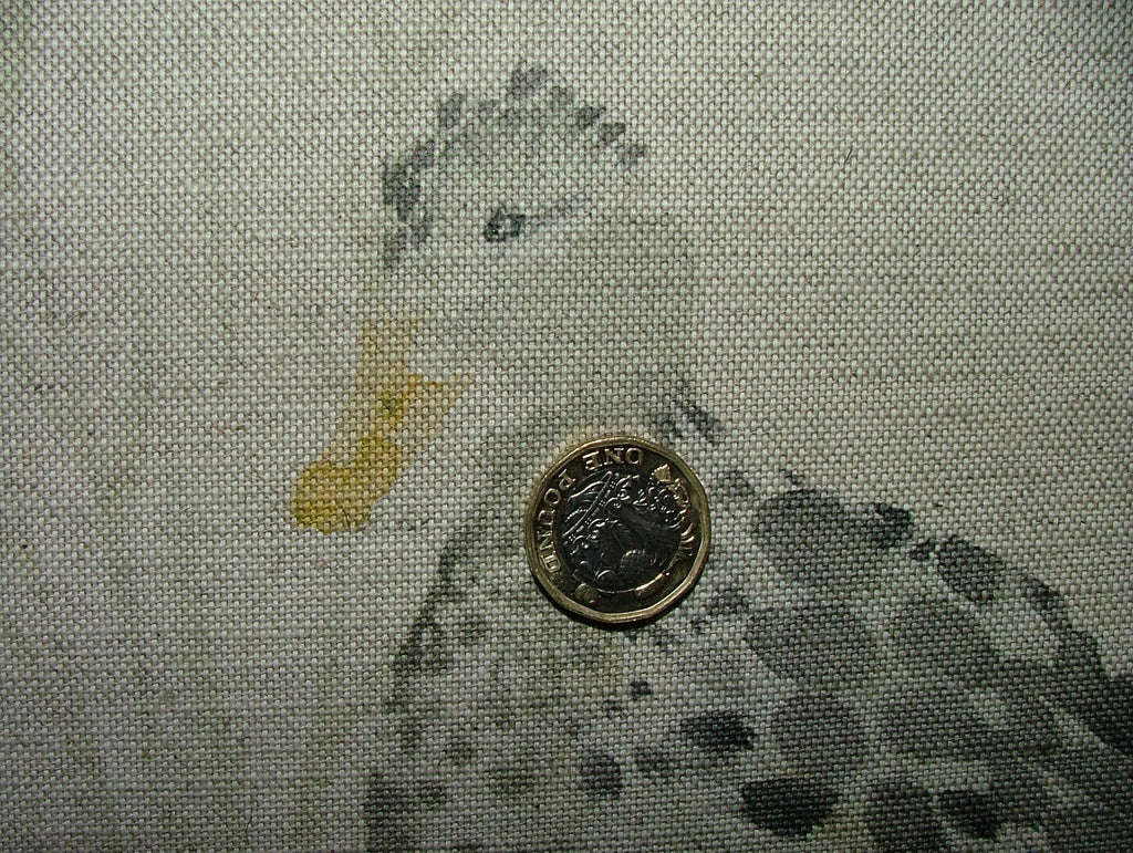 45956801