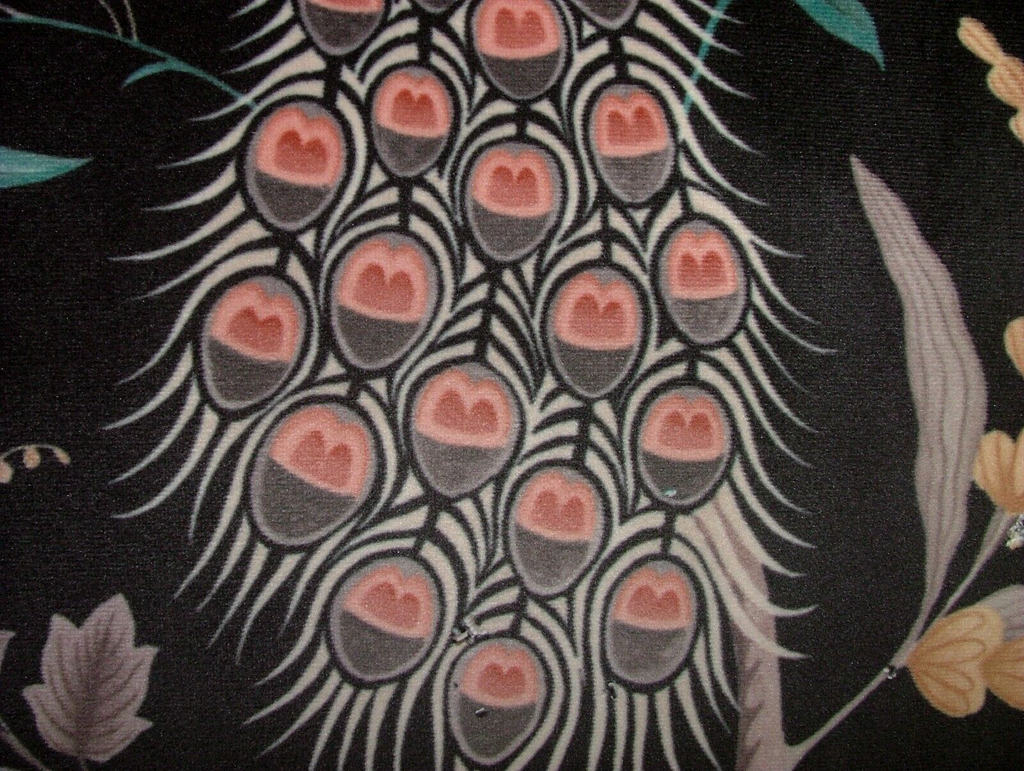 45955893