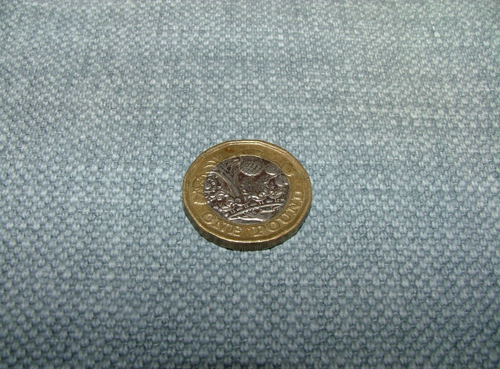 45005644