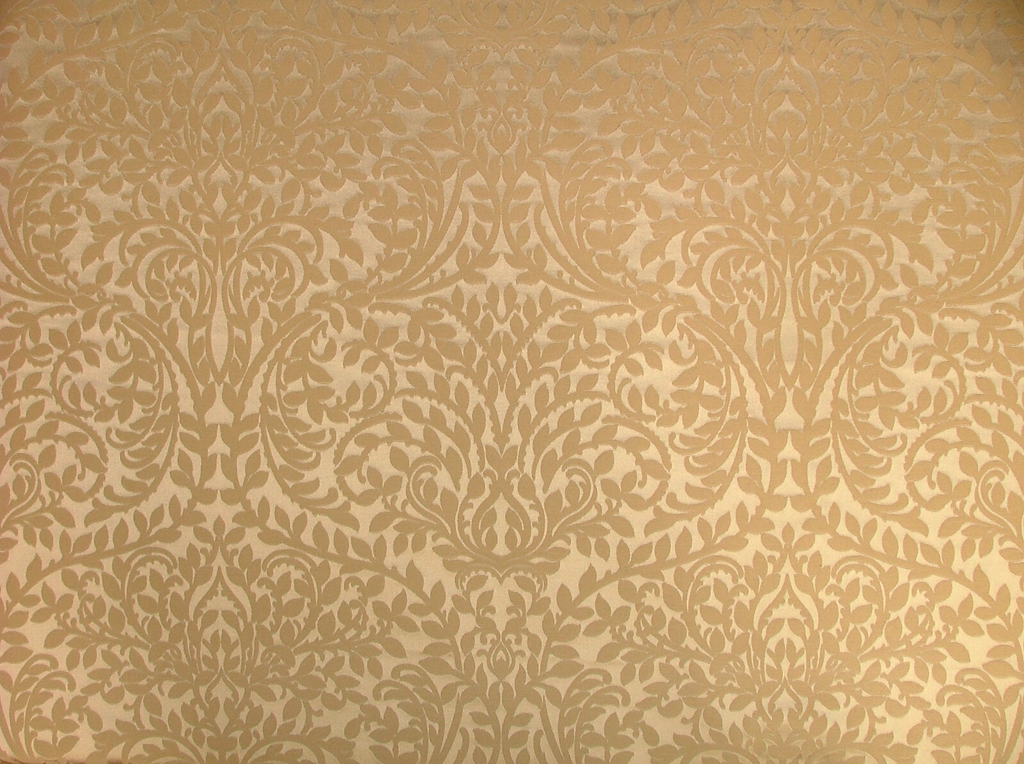 45860677