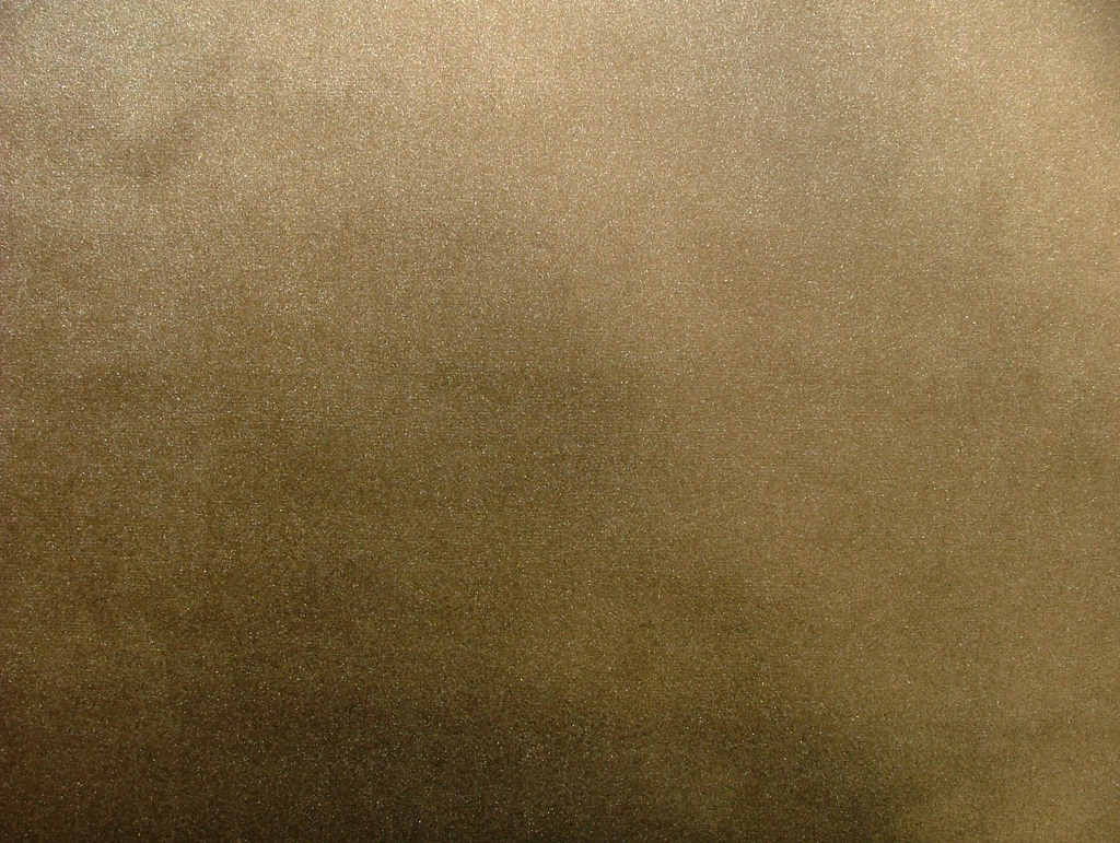 45860557