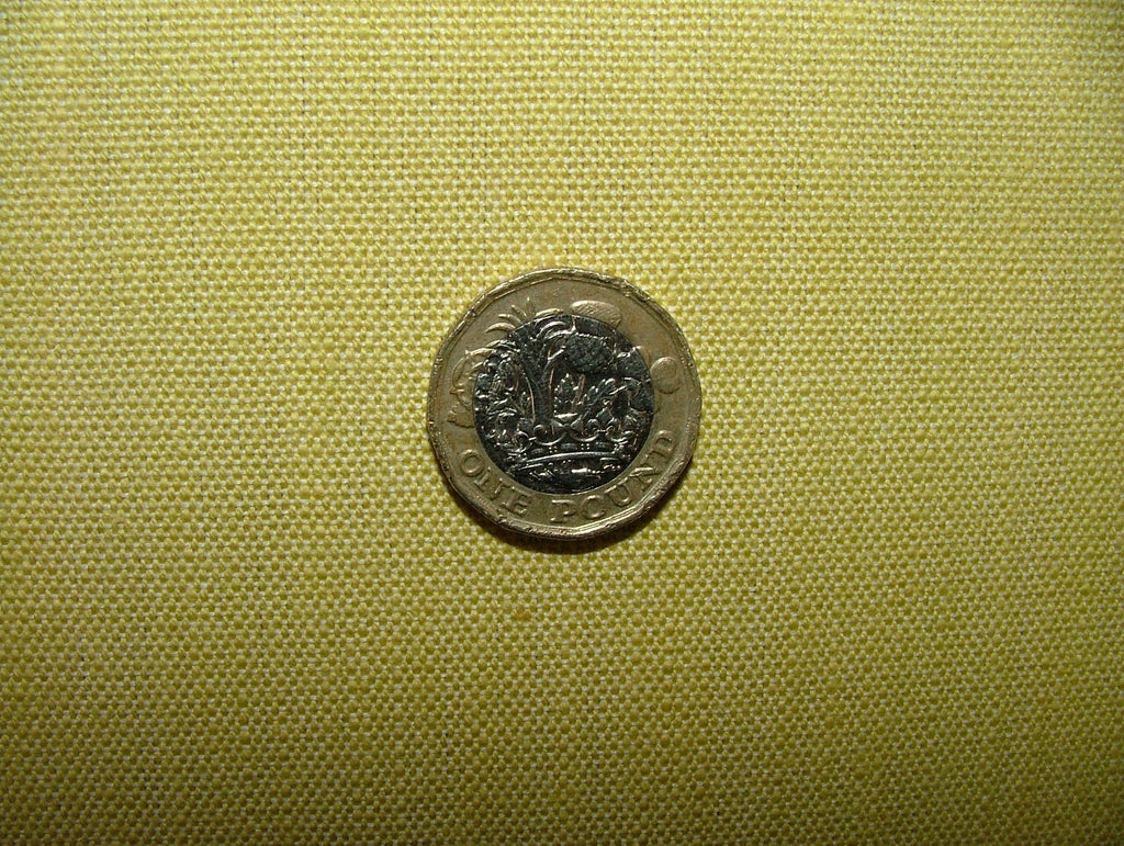 Cotton Curtain Fabric Prestigious Textiles Citrus Upholstery Curtain 11 Metres6