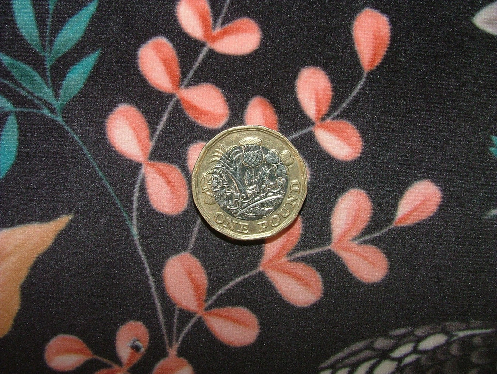 44933054