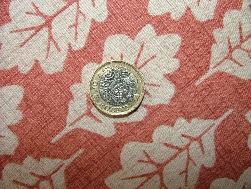 45020996