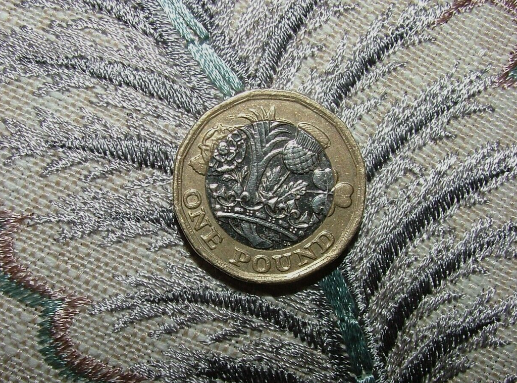 Embroidered Curtain Upholstery Fabric 11 Metres Berryvine Dove Grey RRP £550.0013