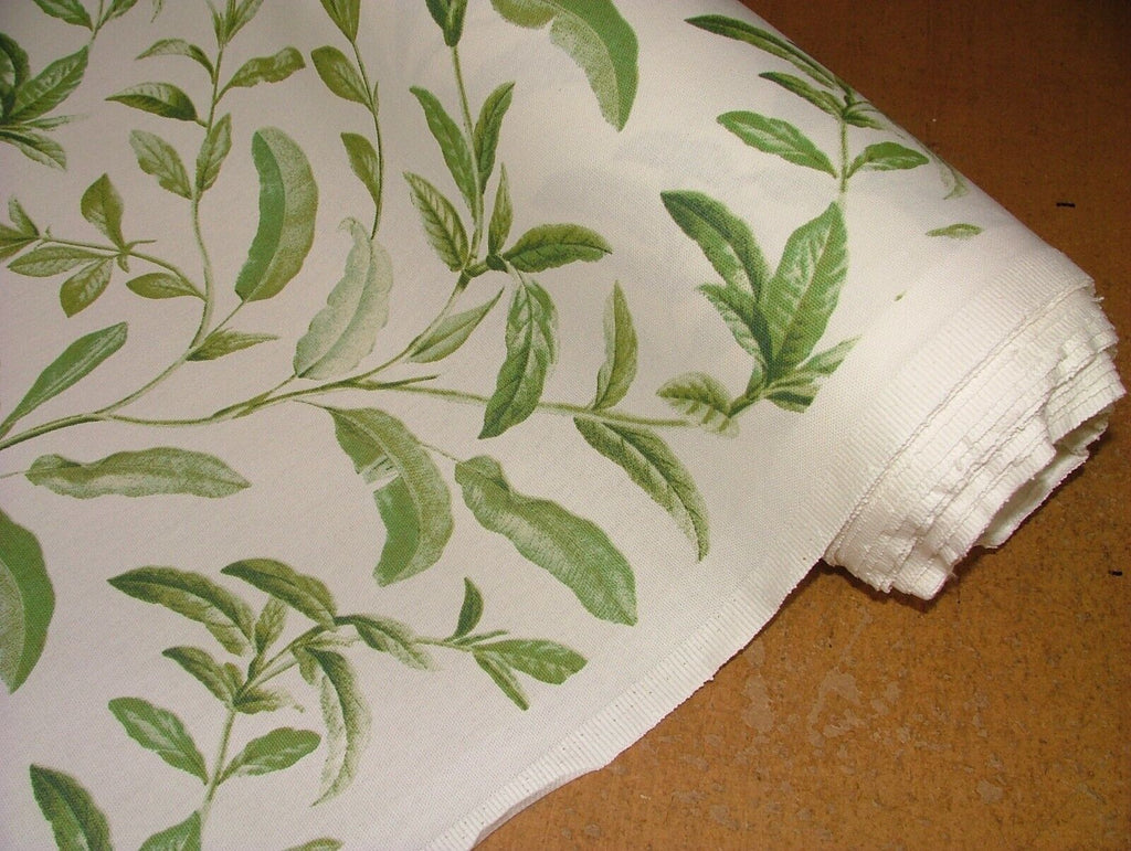 3.8 Metres iLiv Oasis Spruce Green 100% Cotton Fabric Curtain Cushion Upholstery