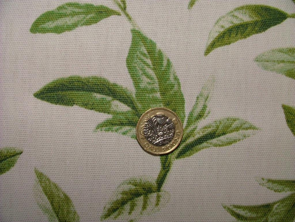 3.8 Metres iLiv Oasis Spruce Green 100% Cotton Fabric Curtain Cushion Upholstery