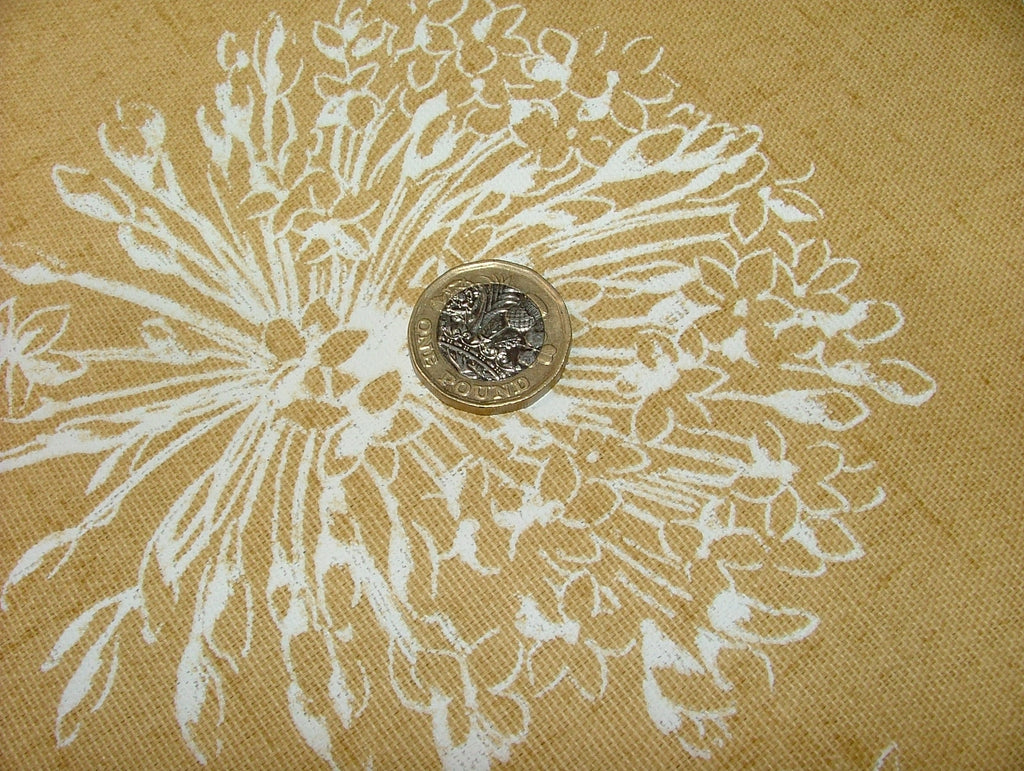 45420725