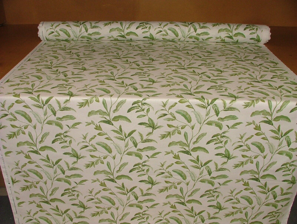 3.8 Metres iLiv Oasis Spruce Green 100% Cotton Fabric Curtain Cushion Upholstery