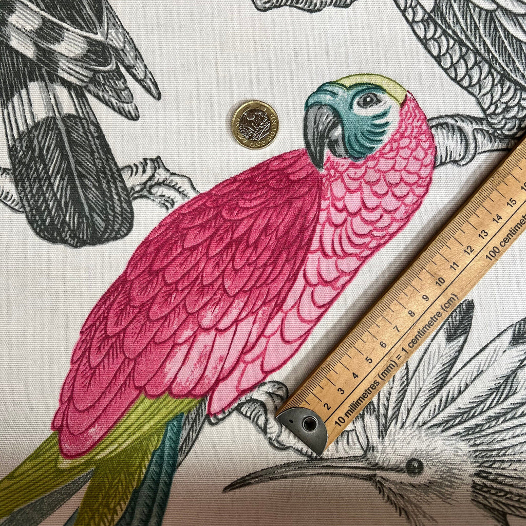 3.2 Metres iLiv Aviary Begonia Parrot Bird Curtain Upholstery Cushion Fabric