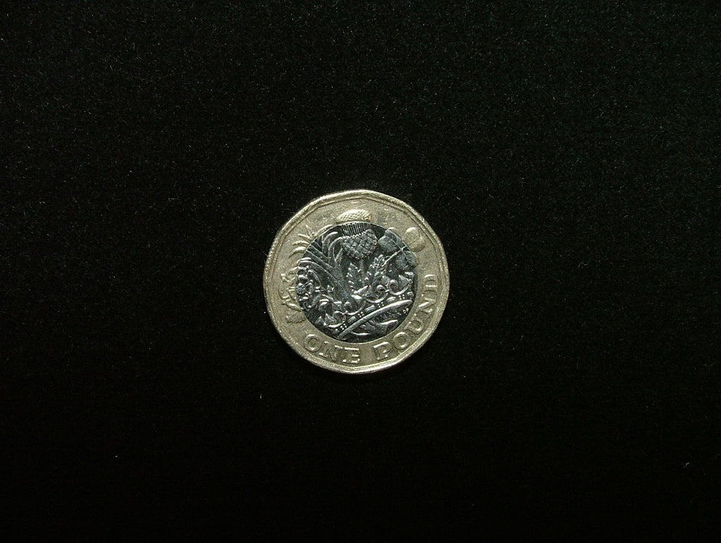 Romo Black Edition Velvet Fabric Curtain Upholstery Cushion  -  10.9 Metre Roll7