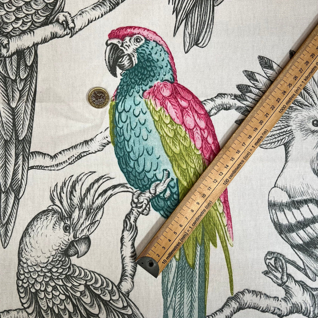 3.3 Metres iLiv Aviary Begonia Parrot Bird Curtain Upholstery Cushion Fabric