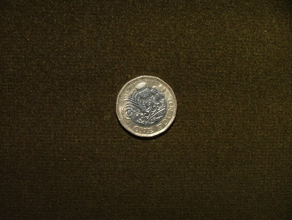 13.6 Metres Romo Frieda Olivette Velvet Fabric Curtain Upholstery RRP £1700.0013