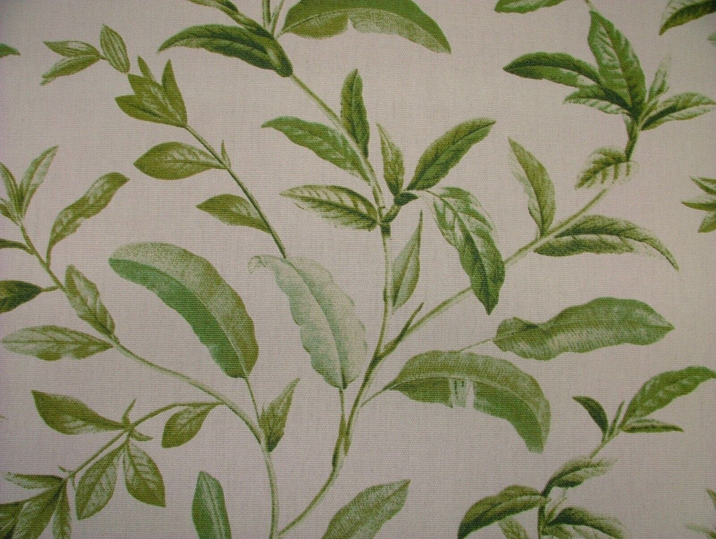 3.8 Metres iLiv Oasis Spruce Green 100% Cotton Fabric Curtain Cushion Upholstery