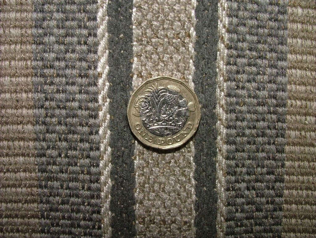 44036366