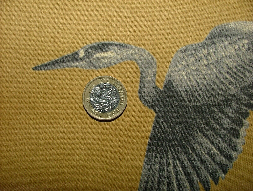 45420732