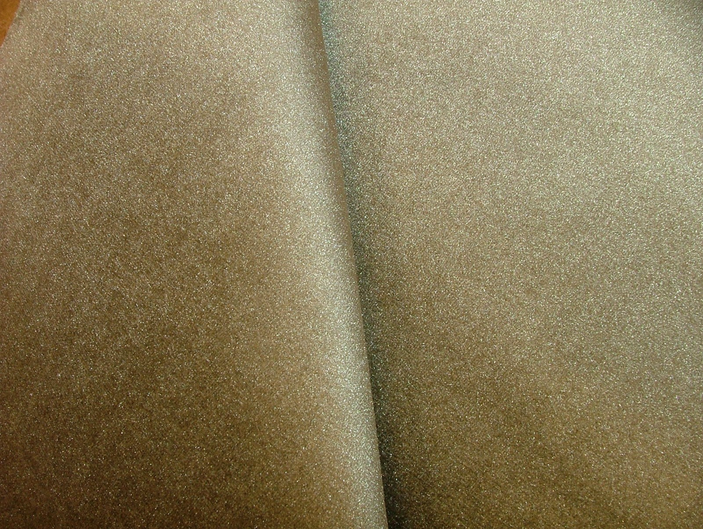 45860557