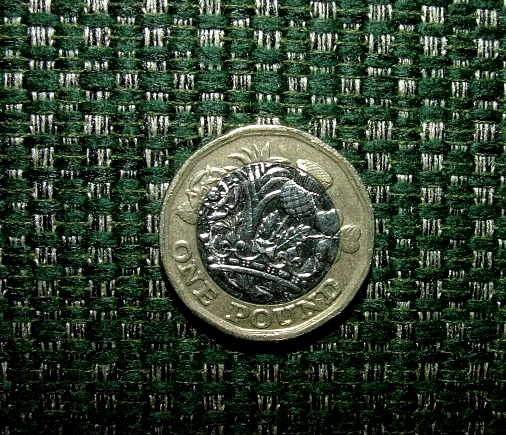 16 Metres Forest Green Chenille Fabric Curtain Upholstery Cushion RRP £560.00
