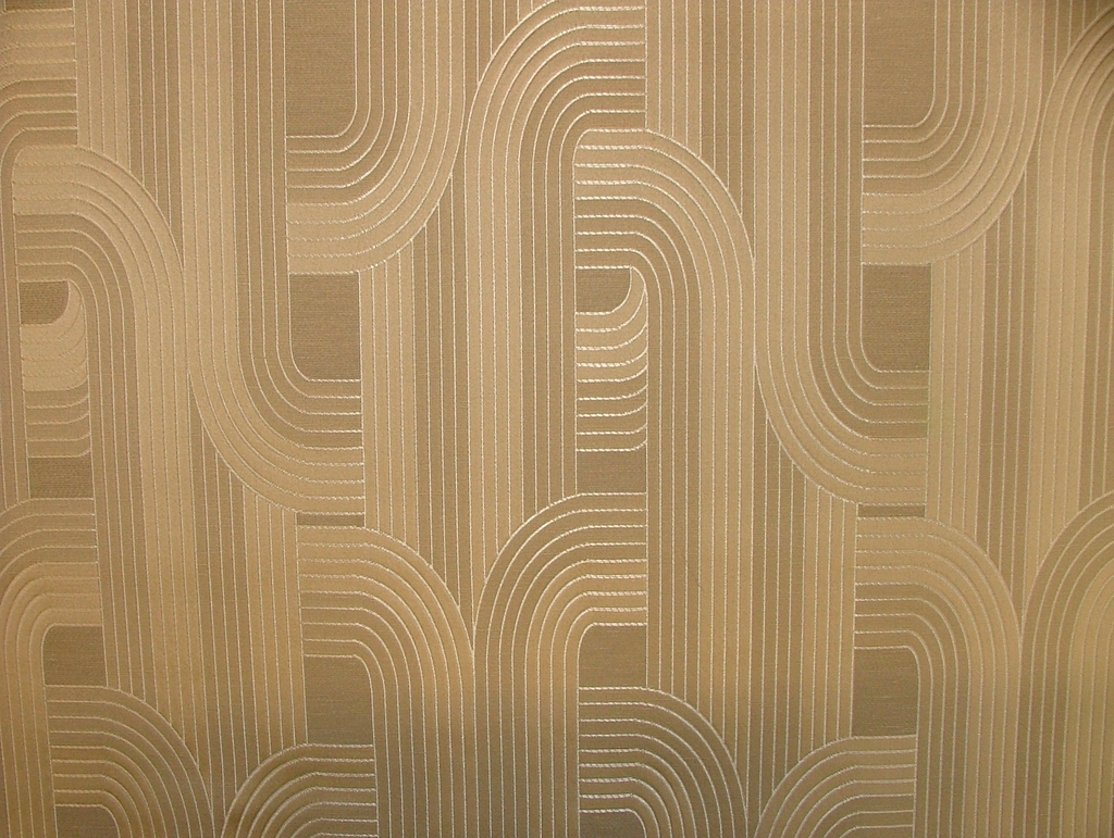 45955921