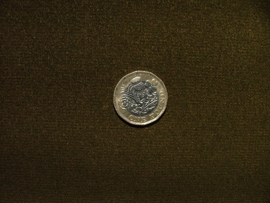 13.6 Metres Romo Frieda Olivette Velvet Fabric Curtain Upholstery RRP £1700.0012