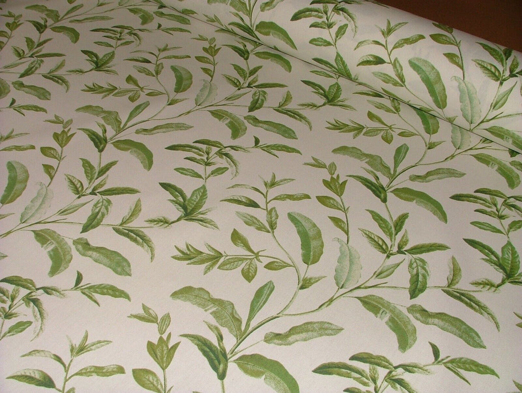 3.8 Metres iLiv Oasis Spruce Green 100% Cotton Fabric Curtain Cushion Upholstery