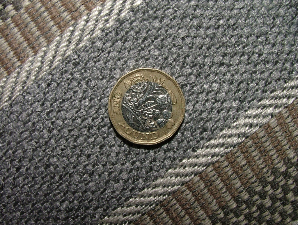 45955901