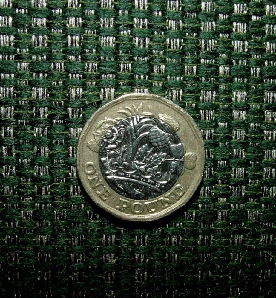 16 Metres Forest Green Chenille Fabric Curtain Upholstery Cushion RRP £560.00