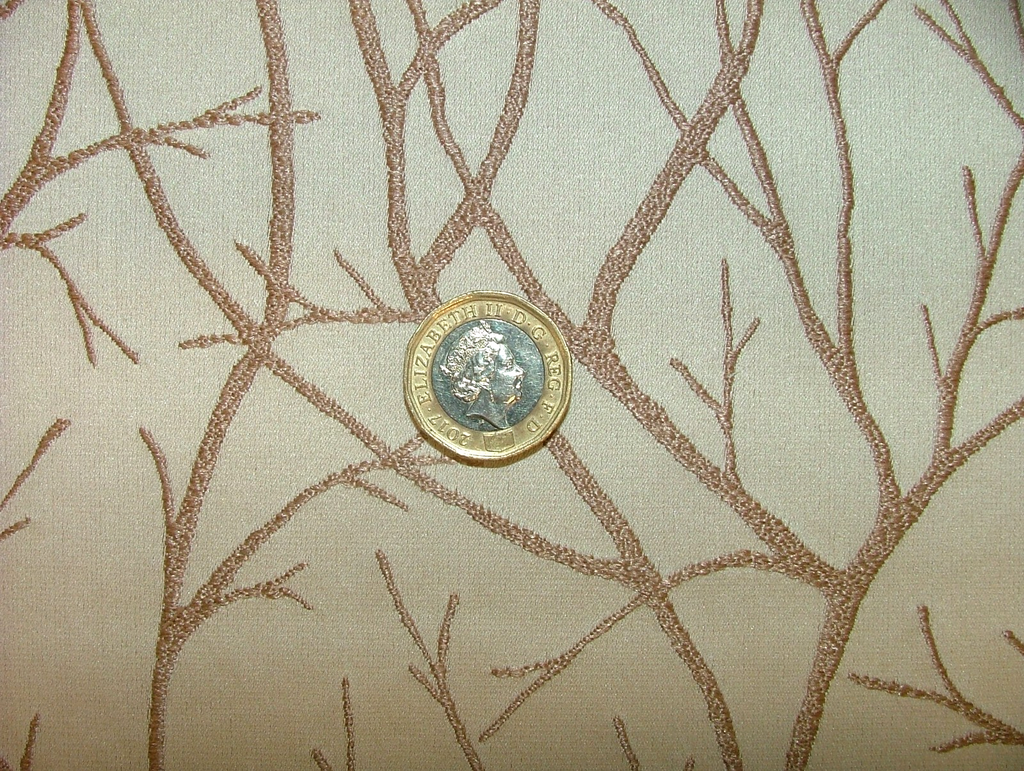 45860662