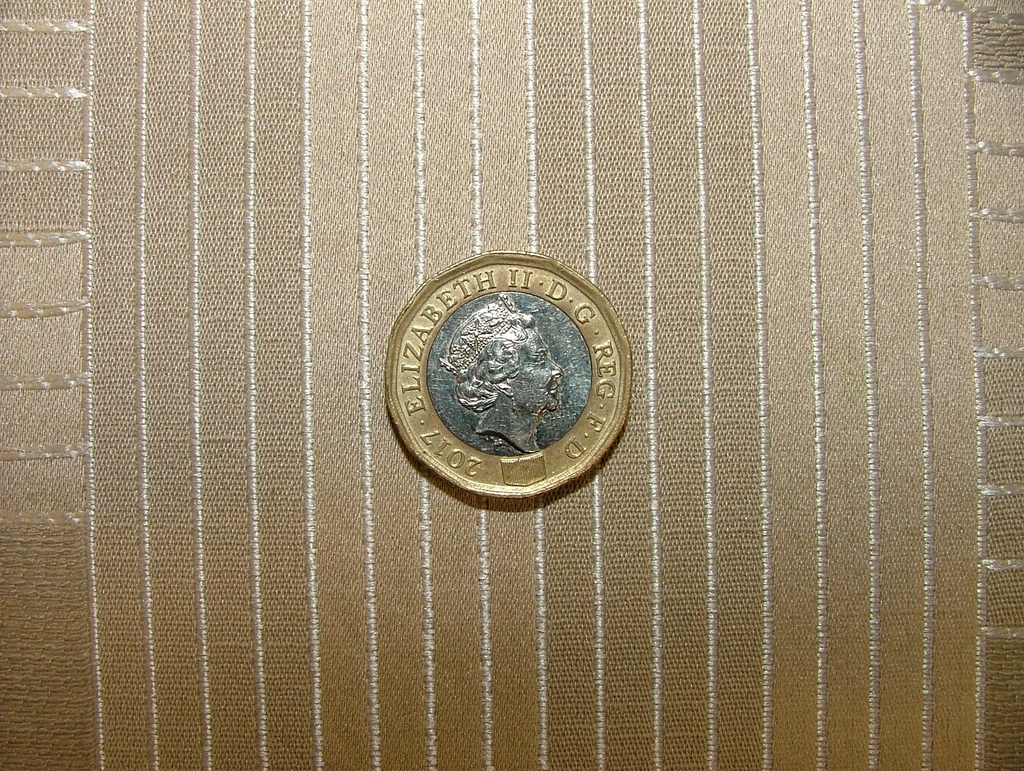 45955921