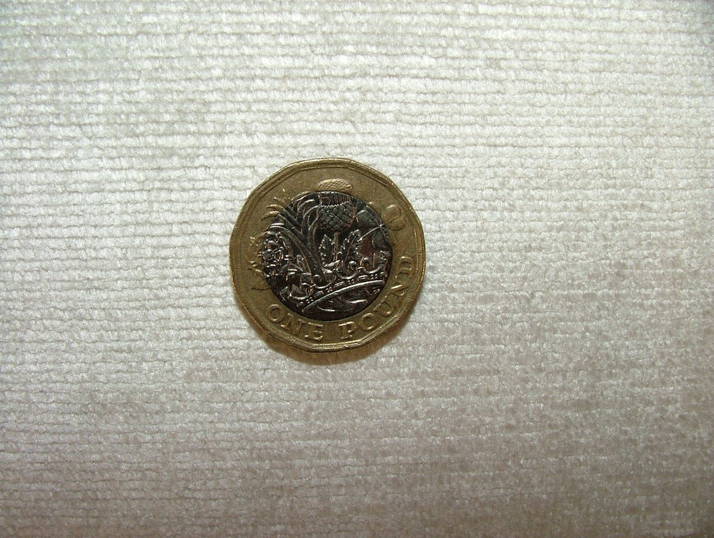 45419549
