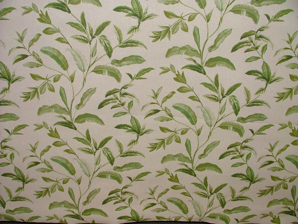 3.8 Metres iLiv Oasis Spruce Green 100% Cotton Fabric Curtain Cushion Upholstery